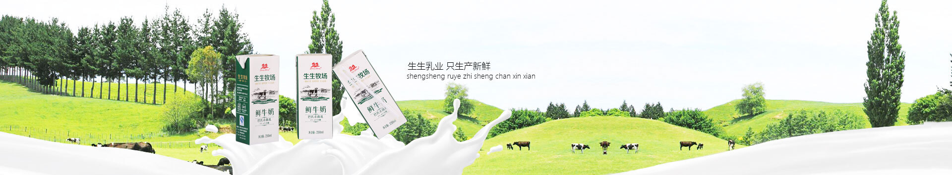 洛陽(yáng)訂奶_酸奶代理_酸奶招商_牛奶品牌-生生乳業(yè)